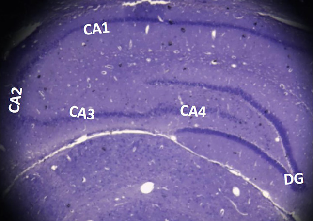 Fig. 2