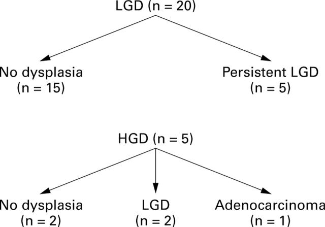 Figure 2  