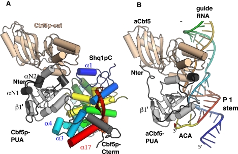 Figure 2.