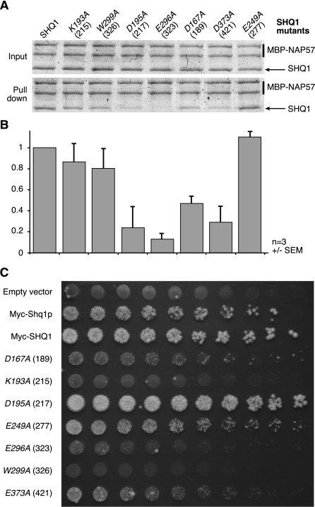 Figure 4.