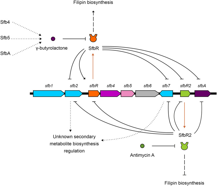 FIG 10