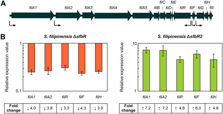 FIG 4