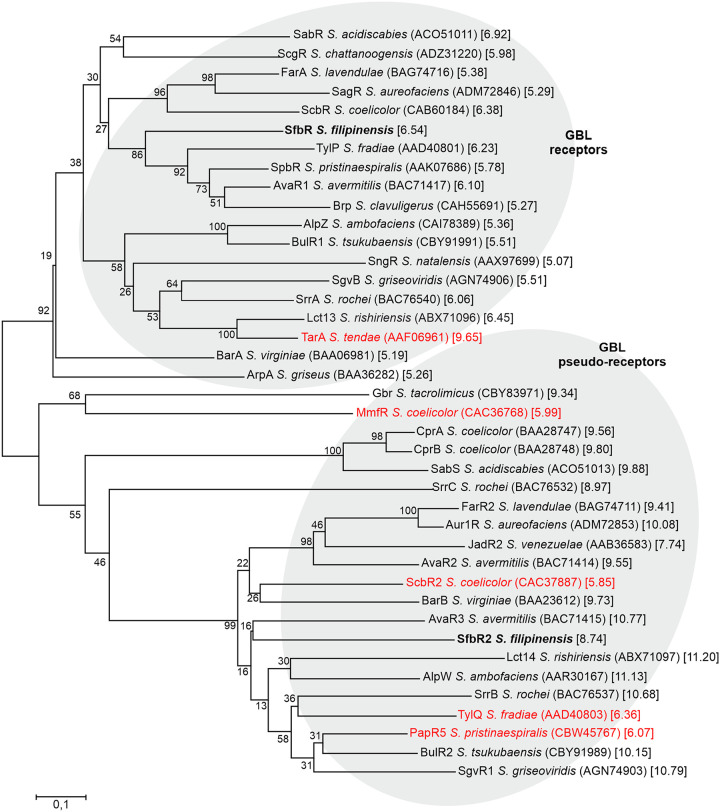 FIG 2