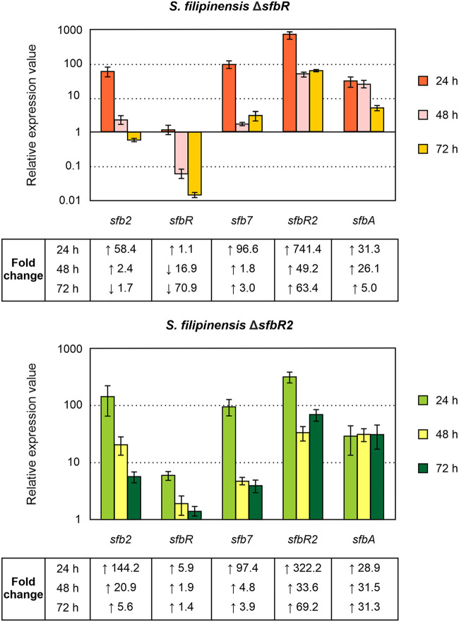 FIG 6