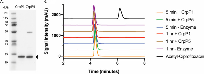 FIG 1