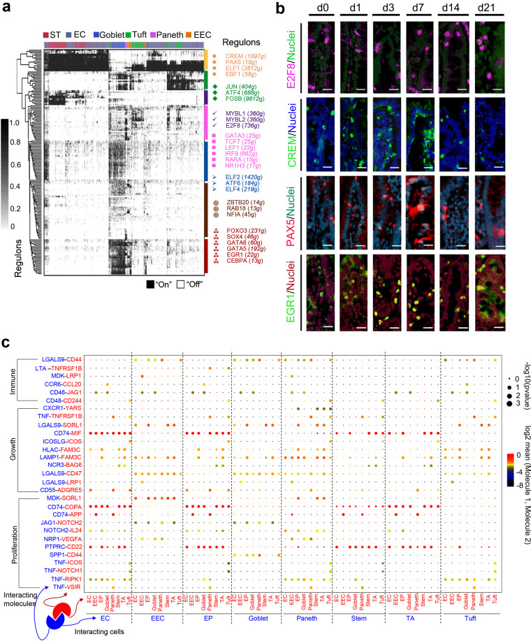 FIG 6