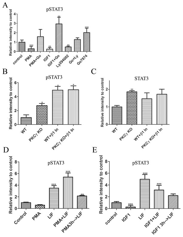 Figure 10