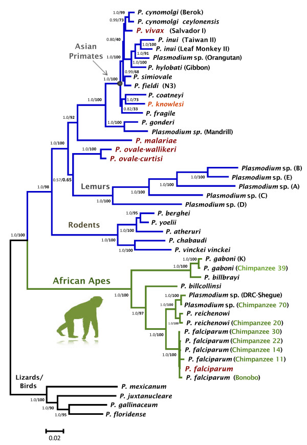 Figure 1