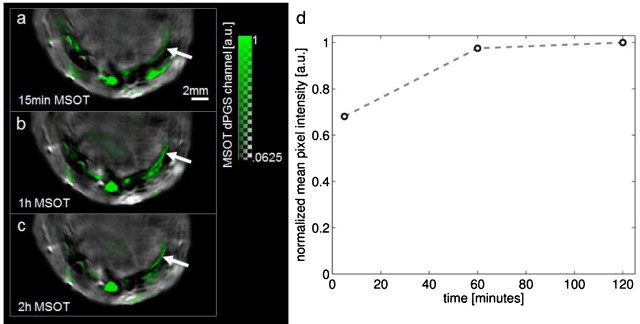 Fig. 3