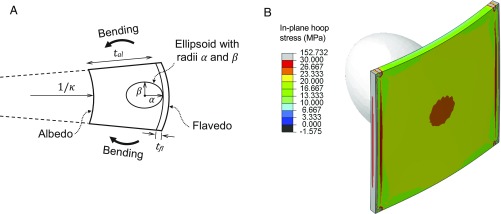 Fig. 7.