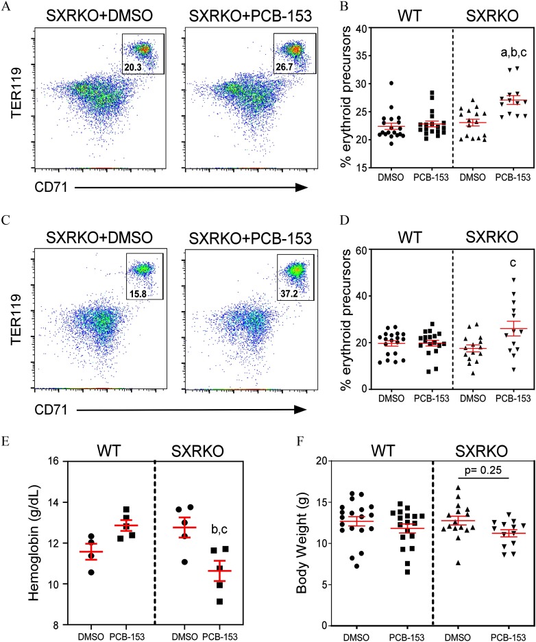 Figures 2A is a set of two flow cytometry dot plots plotting TER119 (y-axis) across CD71 (x-axis) of the bone marrow from SXRKO plus DMSO on the left and SXRKO plus PCB-153 on the right. Figures 2B is a graph plotting percentage of erythroid precursors in the bone marrow, ranging from 15 to 40 with increments of 5 (y-axis) for WT plus DMSO, WT plus PCB-153, SXRKO plus DMSO, and SXRKO plus PCB-153 (x-axis). Figure 2C is a set of two flow cytometry dot plots plotting TER119 (y-axis) across CD71 (x-axis) for the spleen of SXRKO plus DMSO on the left and SXRKO plus PCB-153 on the right. Figures 2D is a graph plotting percentage of erythroid precursors in the , ranging spleen from 0 to 60 with increments of 20 (y-axis) for WT plus DMSO, WT plus PCB-153, SXRKO plus DMSO, and SXRKO plus PCB-153 (x-axis). Figure 2E is a graph plotting hemoglobin, ranging from 8 to 16 grams per deciliter with increments of 2 (y-axis) for WT plus DMSO, WT plus PCB-153, SXRKO plus DMSO, and SXRKO plus PCB-153 (x-axis). Figure 2F is a graph plotting body weight, ranging from 0 to 20 grams with increments of 5 (y-axis) for WT plus DMSO, WT plus PCB-153, SXRKO plus DMSO, and SXRKO plus PCB-153 (x-axis).