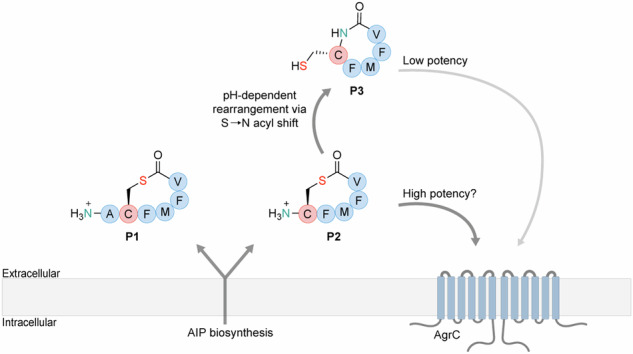graphic file with name 42003_2024_6623_Figa_HTML.jpg