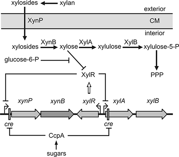 FIG. 1.