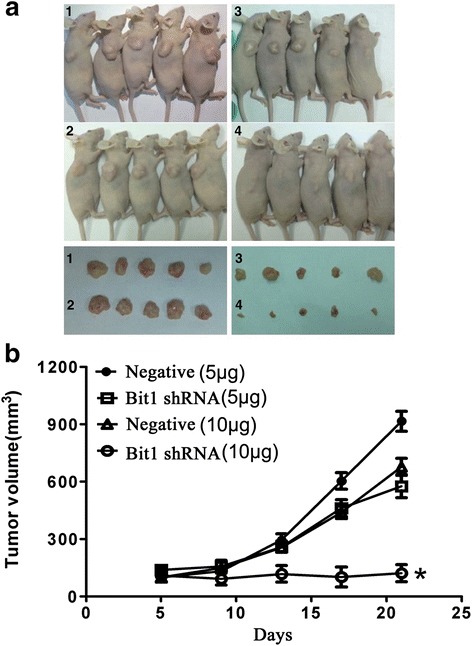 Fig. 5