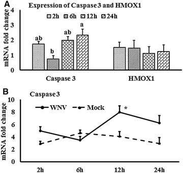 Figure 6