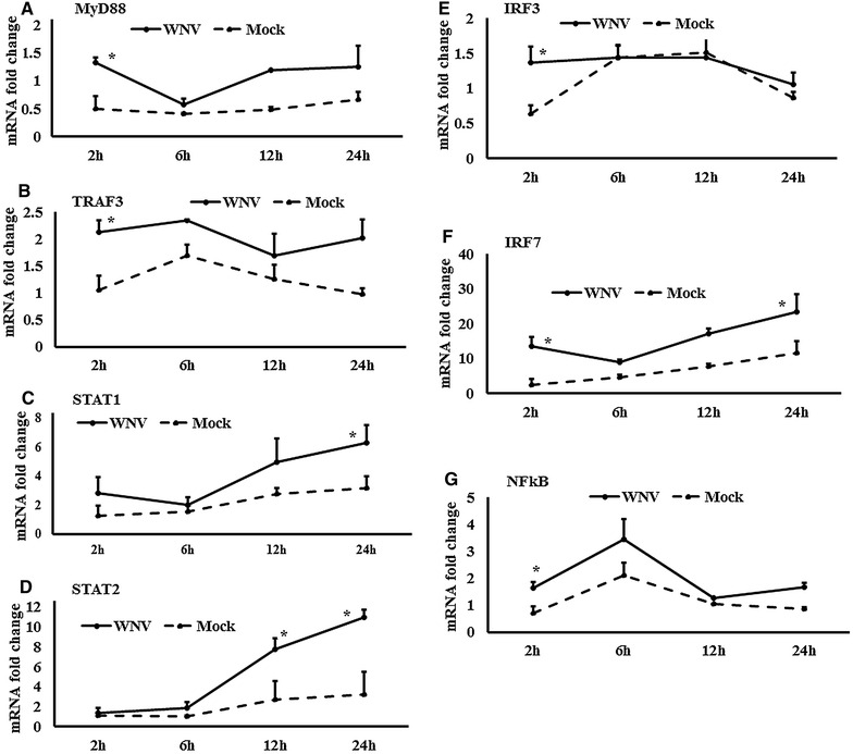 Figure 4