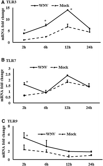 Figure 3