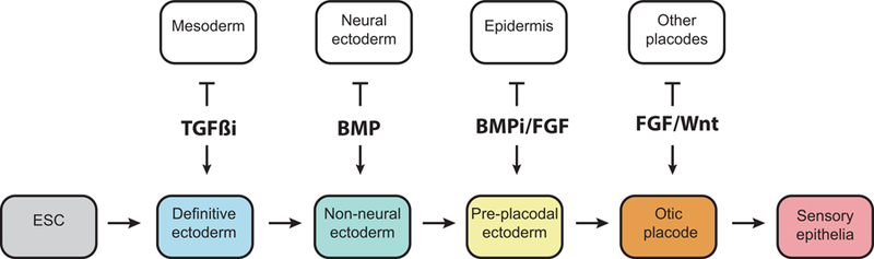 Figure 1: