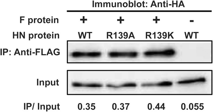 FIG 4