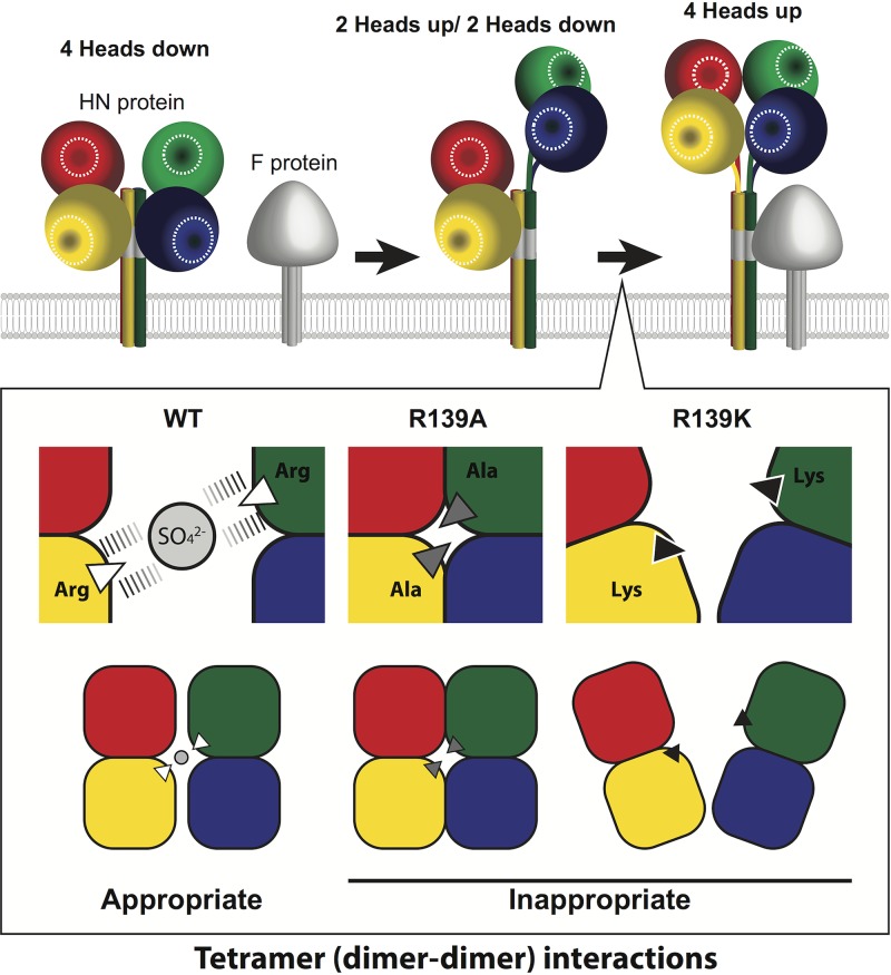 FIG 6