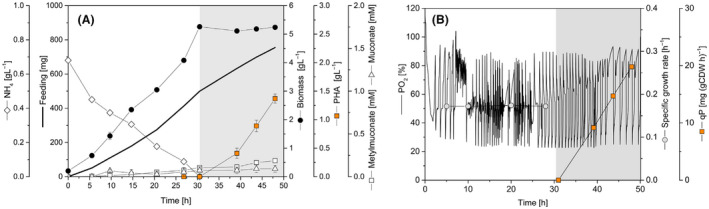 Fig. 8