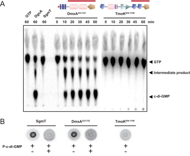 FIG 6