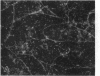 799