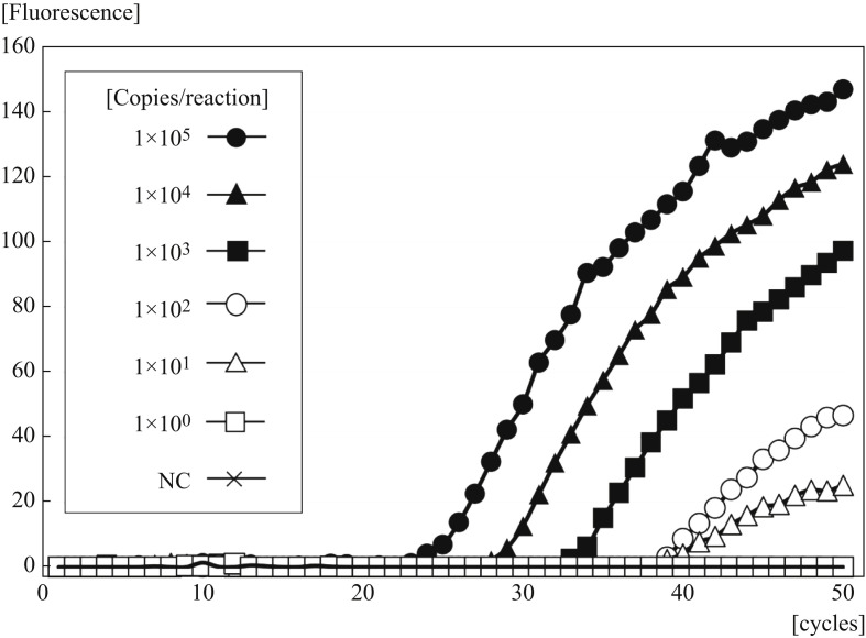 Figure 2