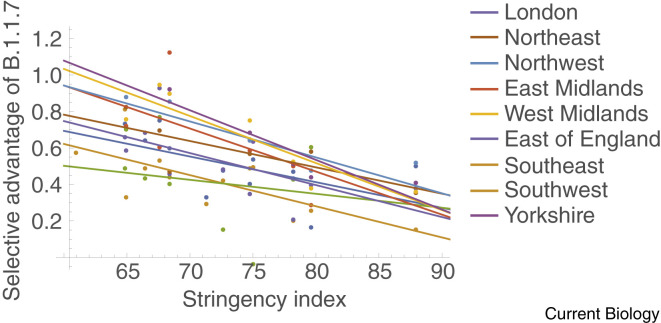 Figure 5