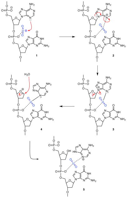 Scheme I