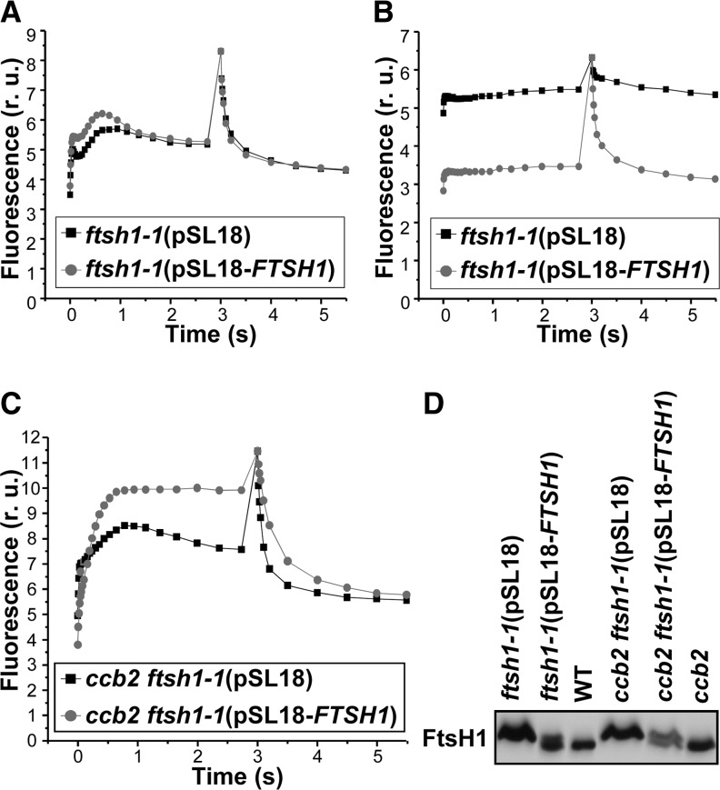 Figure 4.