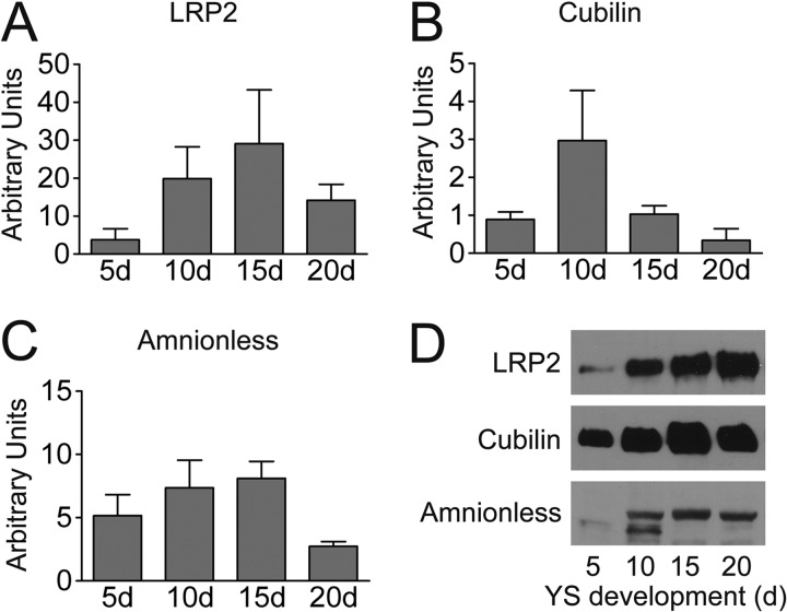 FIGURE 2.