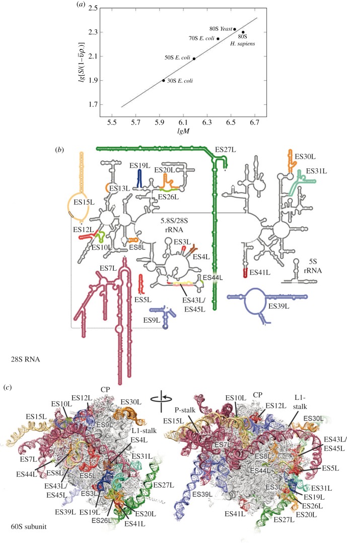 Figure 2.