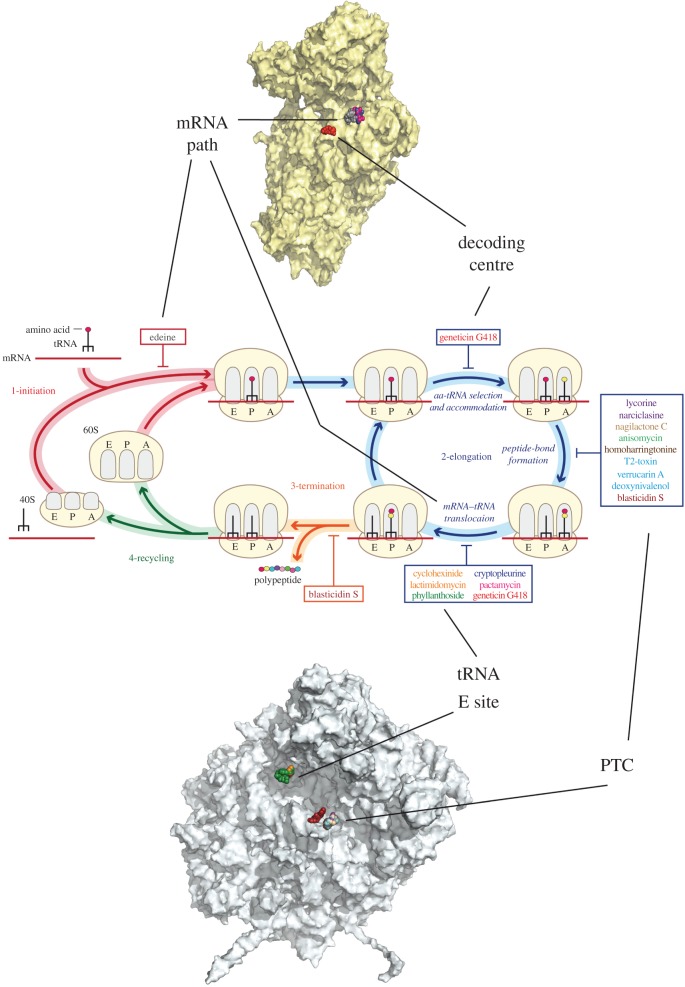 Figure 3.