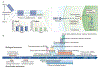 Figure 3 |