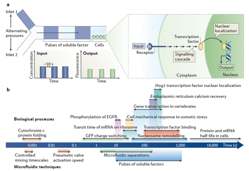 Figure 3 |