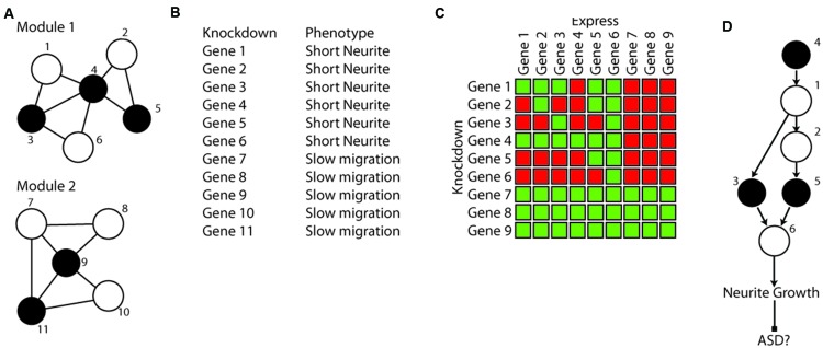 FIGURE 3