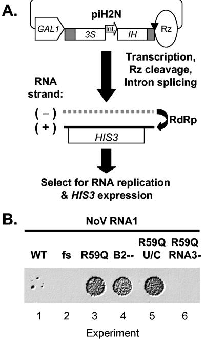 FIG. 4.