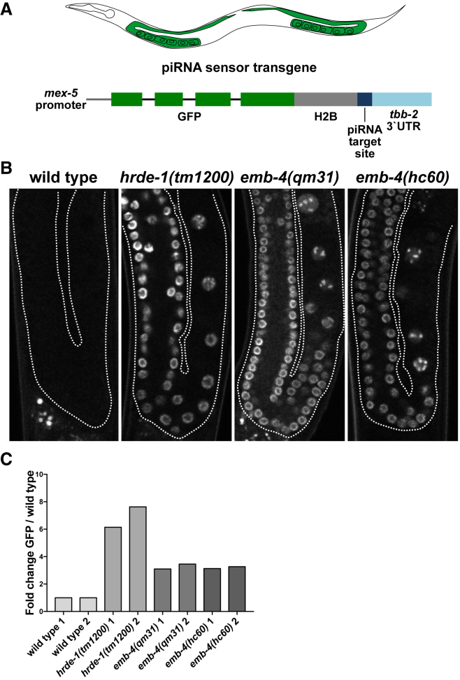 Figure 2