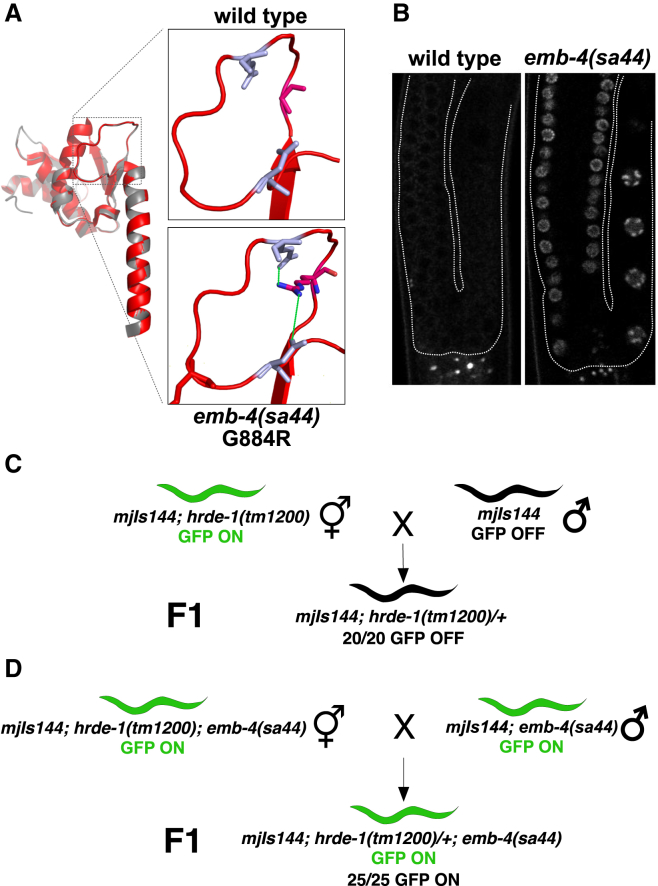 Figure 3