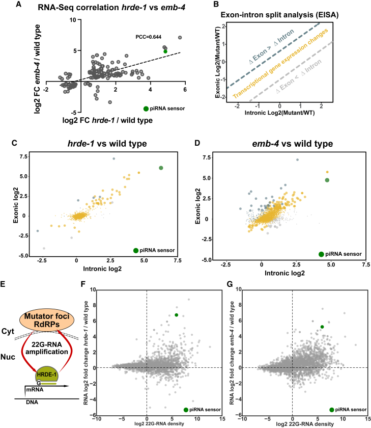 Figure 4