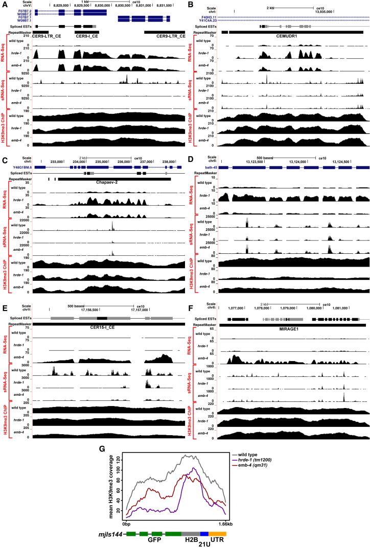 Figure 6