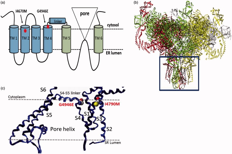 Figure 4.