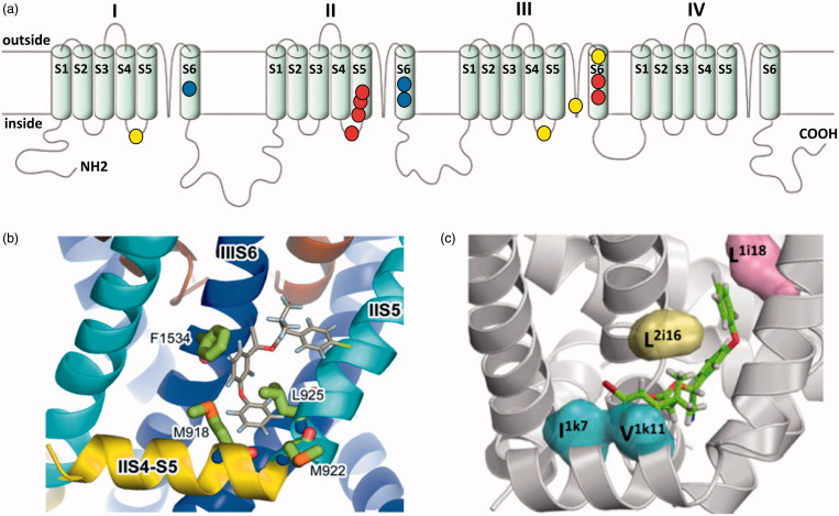 Figure 3.