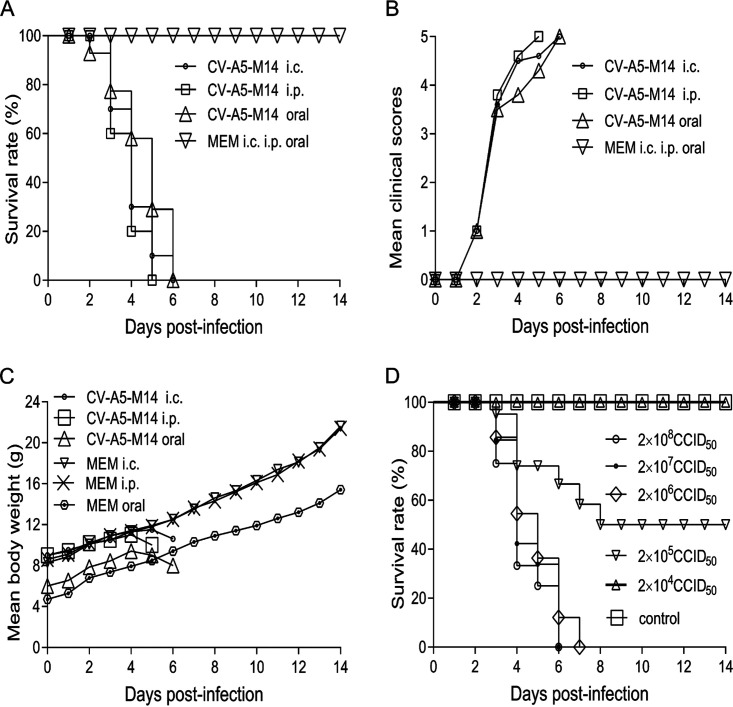 FIG 3