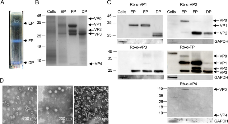 FIG 1