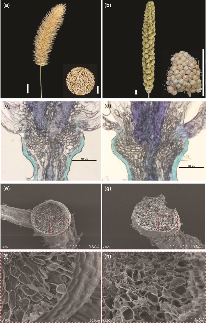 Fig. 1.