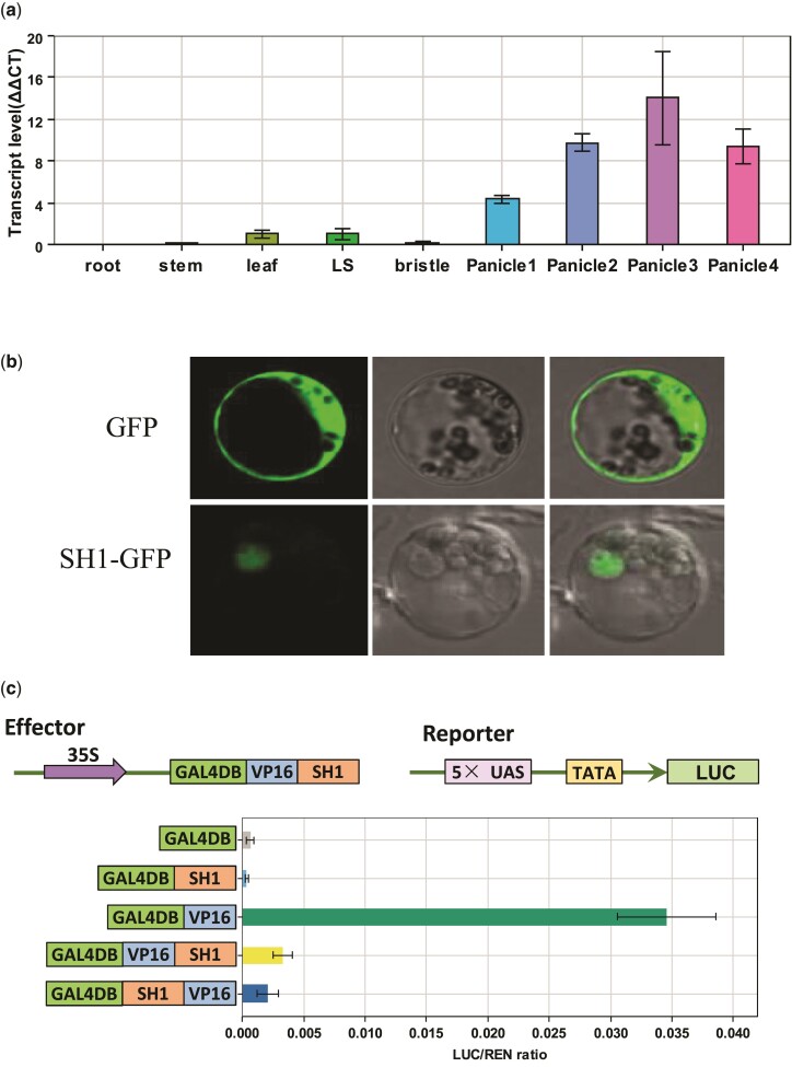 Fig. 4.