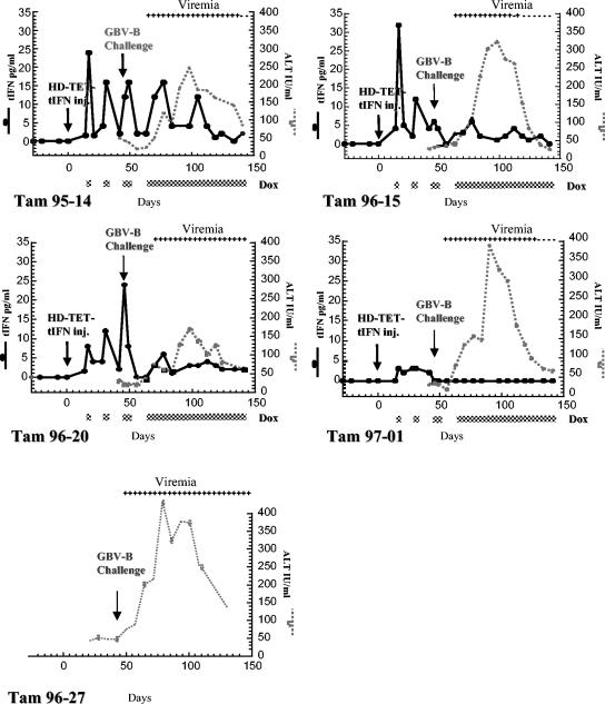 FIG. 6.