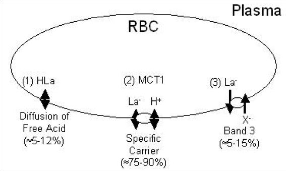 Figure 11.